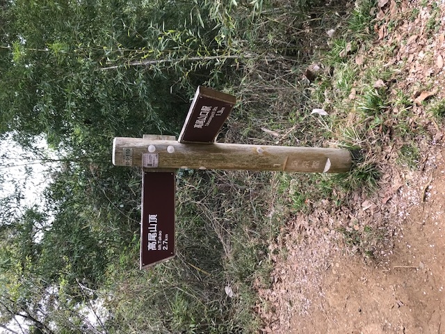 R܂ł͂قǂ̂ƂƁAԈႦȂƎv܂B_R