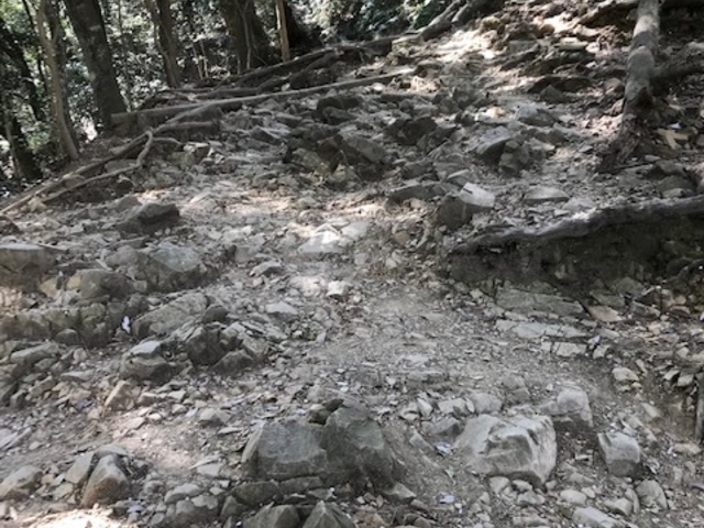 iߕӂ̈H͂ȊłB]|ӂłB_R