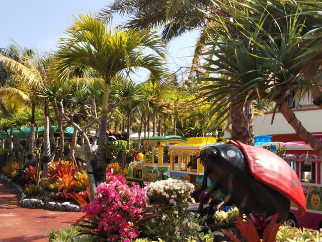 �i�S�p�C�i�b�v���p�[�N�̂��X�X���̓R���l�ƃp�C���`���R�R�[�e�B���O�̂��񂷂����ł�_������ЃW�����{�c�A�[�Y