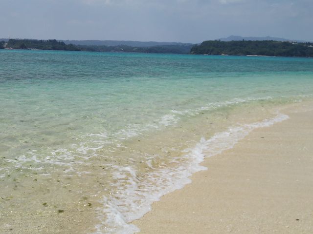 �ÉF�����ł̓E�~�K��������邻���ł���B4���̓T���O���X�Ɠ��P�͕K�{�ł��B_������ЃW�����{�c�A�[�Y