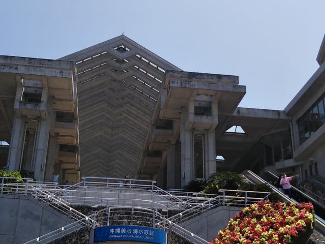 Cق̓ŃsJ`ER{XebJ[Qbgł܂B_ЃW{cA[Y