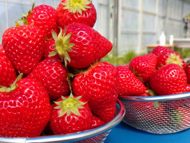 �E��ł��č����Ă��������܂�_���c�_��