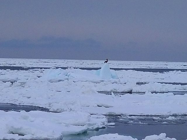 IIV~܂ĂƑDAiEXB܂BXȊOɂy݂悤łˁB_ԑXόӕXD[