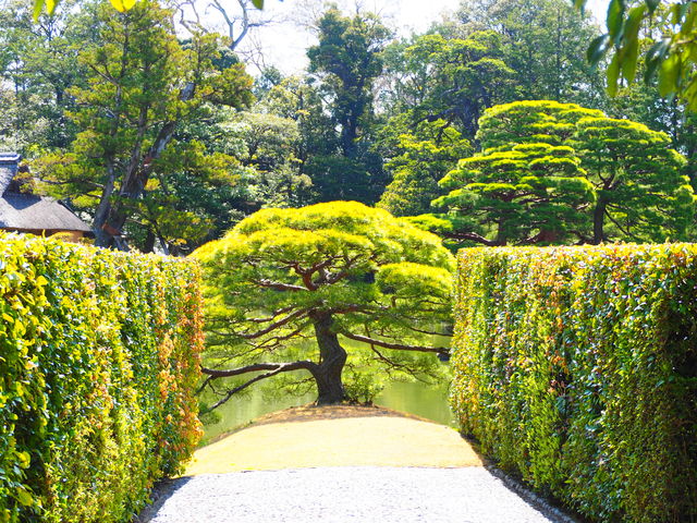 ���q�l�ւ̖ډB��
�Ӓn���ł͂Ȃ��āA���Ƃւ̊��҂����߂邽�߂̂��������ł�_�j���{