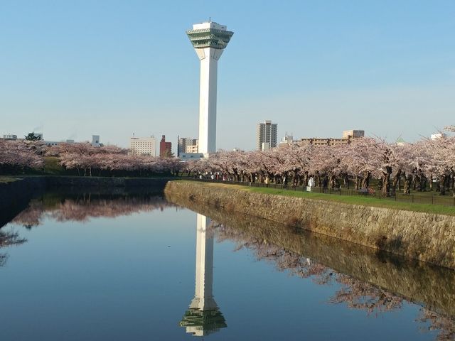 �������ꂽ������B�e���܂������A��ʂɍ����炢�Ă��܂��B_�ܗŊs����