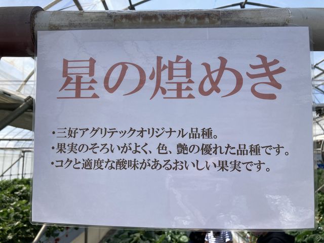 ���߂Ă��������܂���_�����̂�������