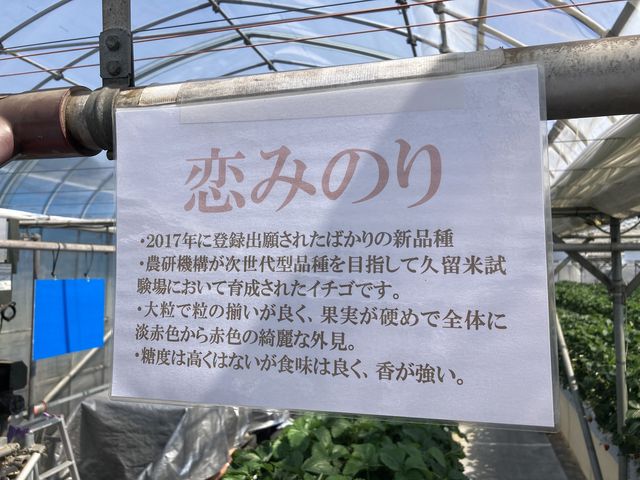 ���߂Ă��������܂���_�����̂�������