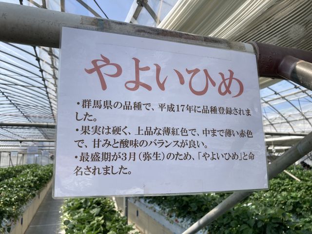 �����炪��D���Ŗړ��Ăōs���܂���
_�����̂�������