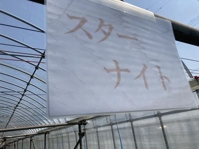 ���߂Ă��������܂���_�����̂�������