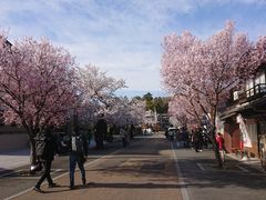 りゅうさんの城下町犬山への投稿写真1