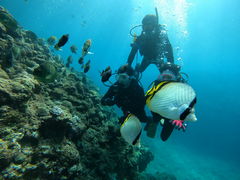 Cocõ}T[rXނʁ[ւ̓eʐ^1