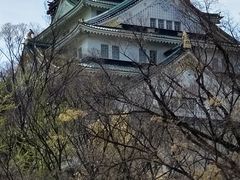 愛1号さんの大阪城天守閣への投稿写真1