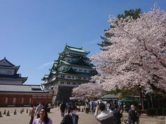 りゅうさんの名古屋城への投稿写真1