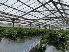 ܂񂶂コ̂_sAbc@ւ̓eʐ^1