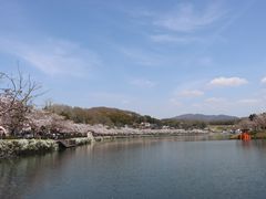 上野公園 広島県庄原市 の写真一覧 じゃらんnet