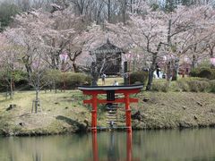 上野公園 広島県庄原市 の写真一覧 じゃらんnet