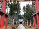ヌケてるライダーさんの賀茂神社（福井県福井市）への投稿写真3