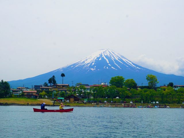 �K�C�h�̕����B���đ����Ă����������ʐ^�ł��I_�x�m���V��