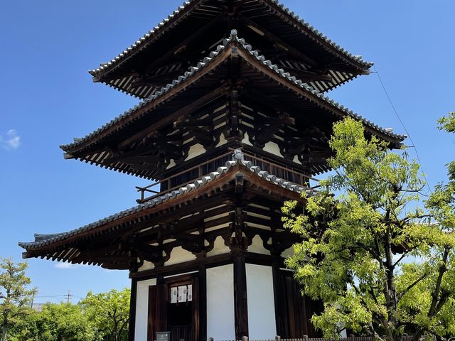 ����������܂���_�ޗǔ����c�[���Y��Waikaru