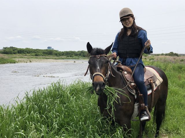 �쉈���������C�����悩�����ł��B_�}�����̕��z�[�X�g���b�L���O