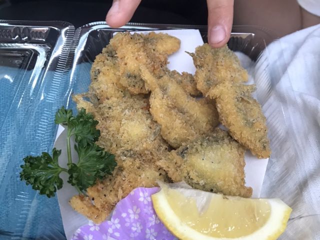 ���I�̃t���C_�C�ނ�̌��������^���ފƁy�܂�ւ��V�ё��z�b��t�F�C�ӂ̏����Ȃ��h �܂�ւ����h