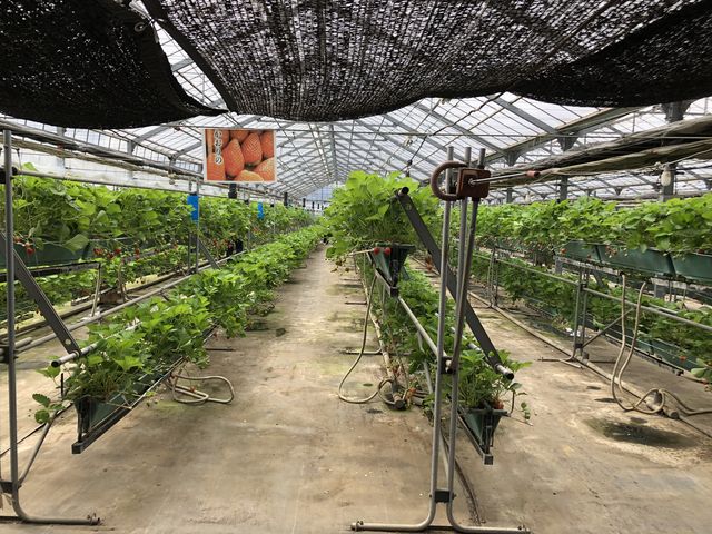 �L�X�Ƃ����n�E�X�ŉ��K�ł����B���[�����Ƃɕi�킪�������H�ה�ׂ��ł��܂����I_�[��_��