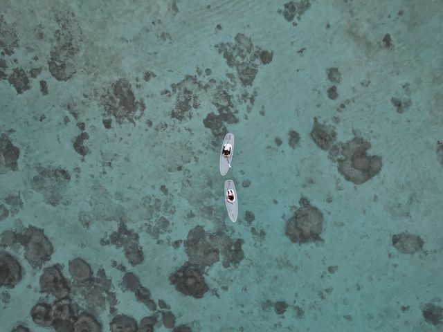 �܂��ł��������C_Cheerful �{�Ó�