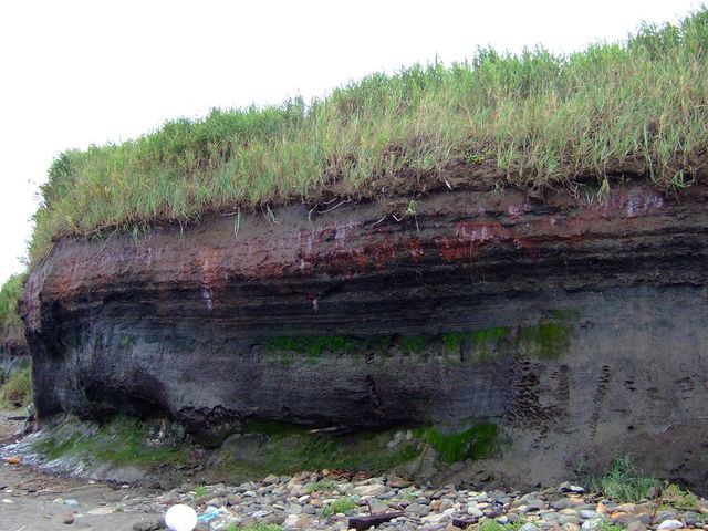 �o�����ŏI�X�͊����v��_�ŏI�X�����v��