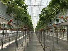 hidepabu̕όAOXl΂ւ̓eʐ^1