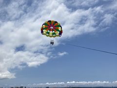 ER̐Ί_u[V[T[ւ̓eʐ^1