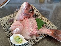 festivaljapan̊Cޖx@ނ̓Cւ̓eʐ^1