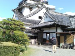 ぽんたさんの松山城への投稿写真1