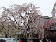 yosshẙpق̃V_UNE\CVm̓eʐ^1