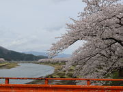 yosshẙpق̃V_UNE\CVm̓eʐ^4