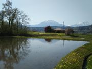 ςς̔эjόē̓eʐ^4