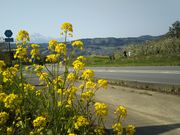 ςς̔эjόē̓eʐ^5