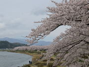 yosshy̕Oؓ̍؂̓eʐ^3