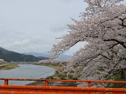 yosshy̕Oؓ̍؂̓eʐ^5