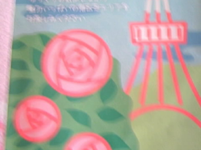 �p���t_�Ō������݂��J