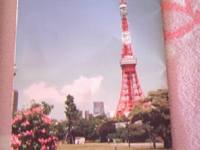 �p���t_�Ō������݂��J