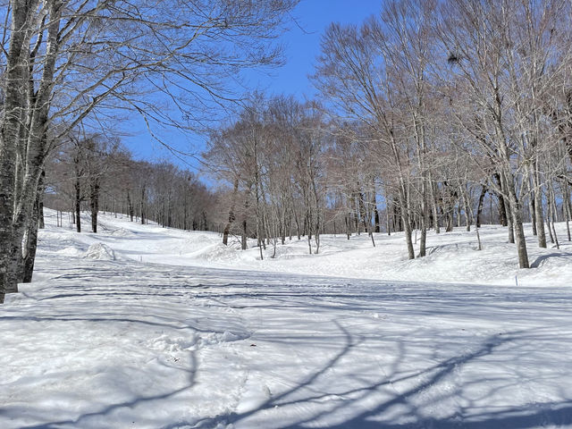 奥只見丸山スキー場】予約・アクセス・割引クーポン - じゃらんnet