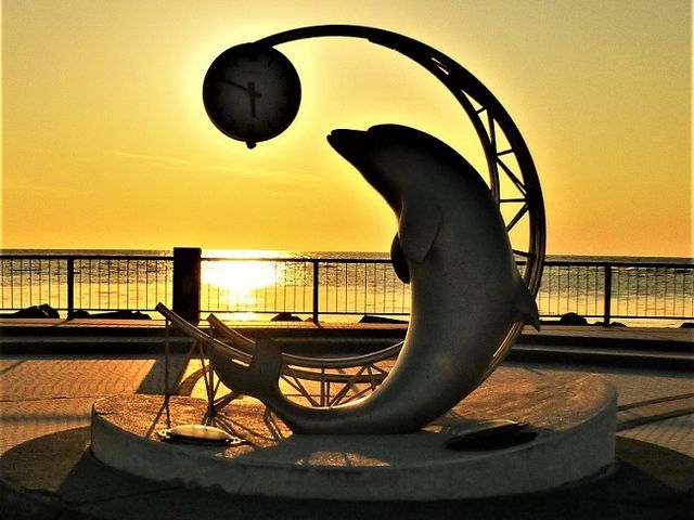 Η[ɂ킹āAsׂłIRfWłȂɑfGȎʐ^B邱Ƃo܂B
_mVbv