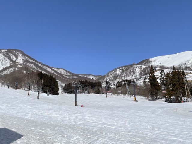 �R�[�X�����芊��₷��_���n��Ɖ���