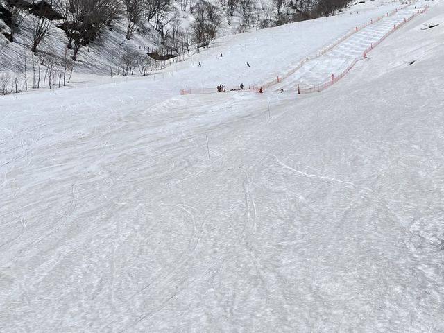 �R�u�R�[�X
_���n��Ɖ���