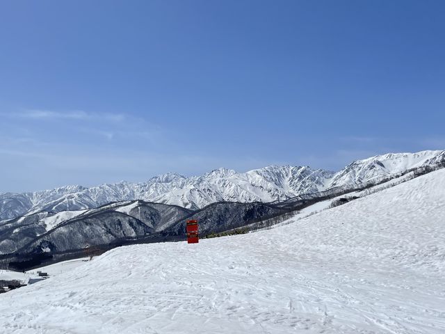 �i�F�͂ƂĂ�����_���n��Ɖ���