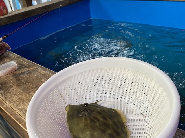 �ނꂽ��_�ނ��Č�����ڂ�����̍��@�Ó�ޖx