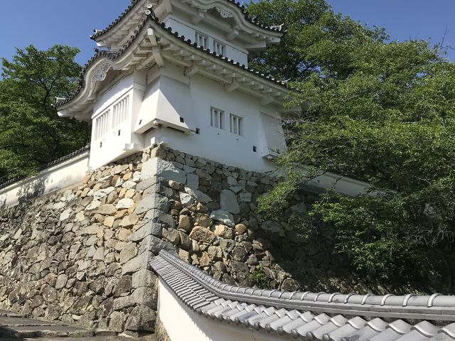 ���̎s��������j����������