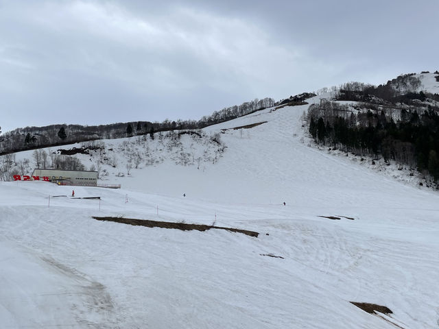 �Q�����f_�_���X�m�[���]�[�g