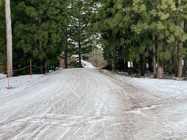 �Q�����f_�_���X�m�[���]�[�g