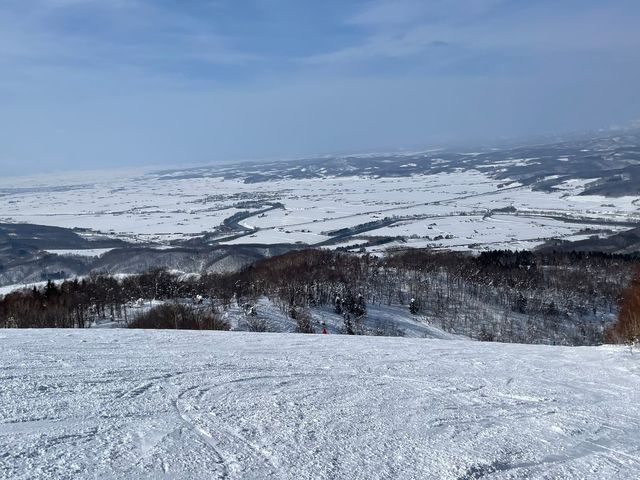 �������k�C��_�J���C�X�L�[�����N�X